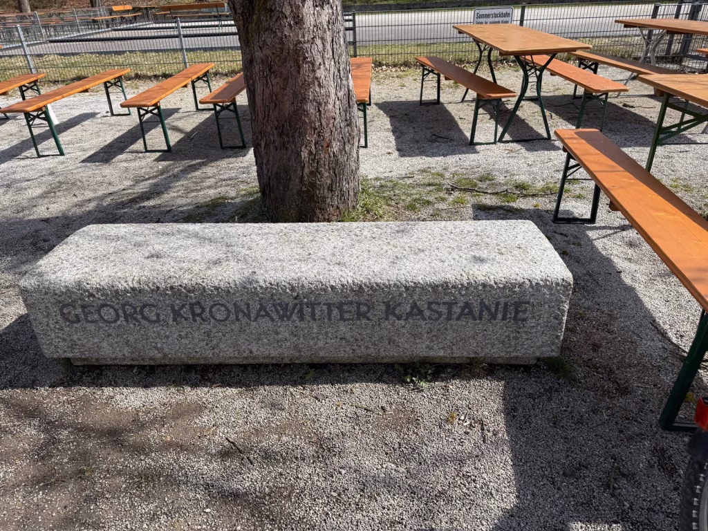 Denkmal am Fuße einer Kastanie im Westpark, die zu Ehren von Georg Kronawitter gesetzt wurde. (Foto: privat)